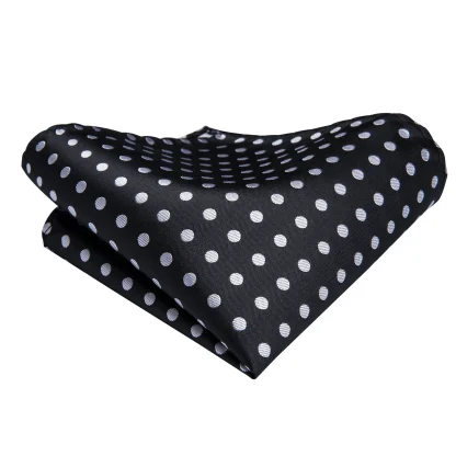 Elegant Ascot High Tie Set - Image 3